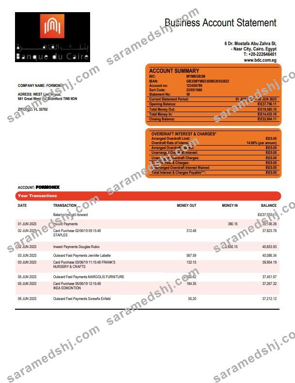 Banque du Caire company account statement Word and PDF template